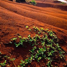 光荣宣布《战国无双》系列全球销量已超800万